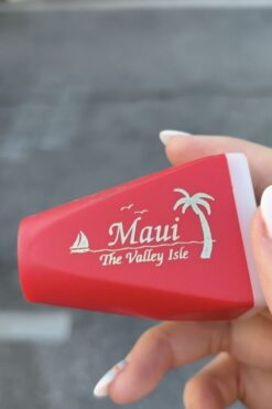 Hotbox-Vintage-South-Pasadena-Hawaii-Maui-Keychain